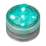 Teal Five LED Submersible - Pack of 10 - IntelliWick