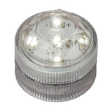 Colors Available - White Five LED Submersible - Pack of 10 - IntelliWick