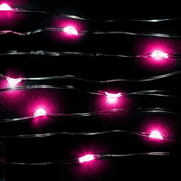 Pink Twenty LED String Light - Pack of 3 - IntelliWick